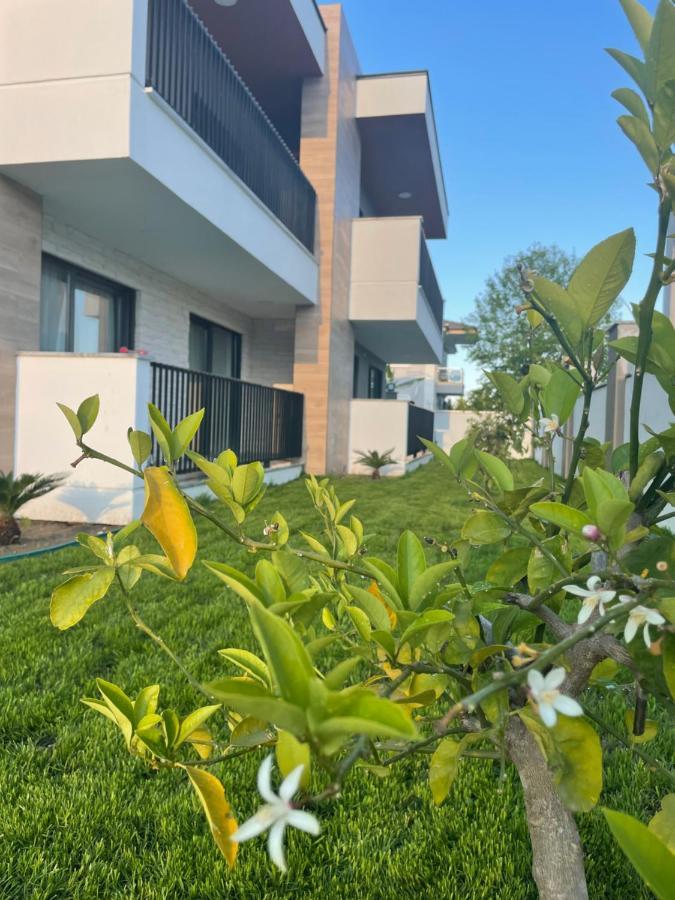 Kalida Apart Kemer Ngoại thất bức ảnh
